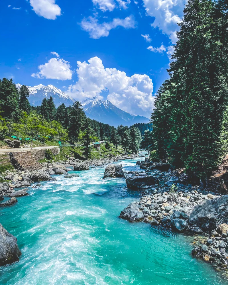 Kashmir