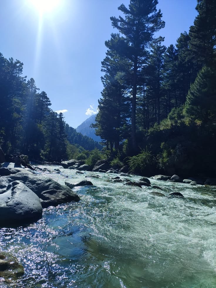Kashmir Lakes and Pines