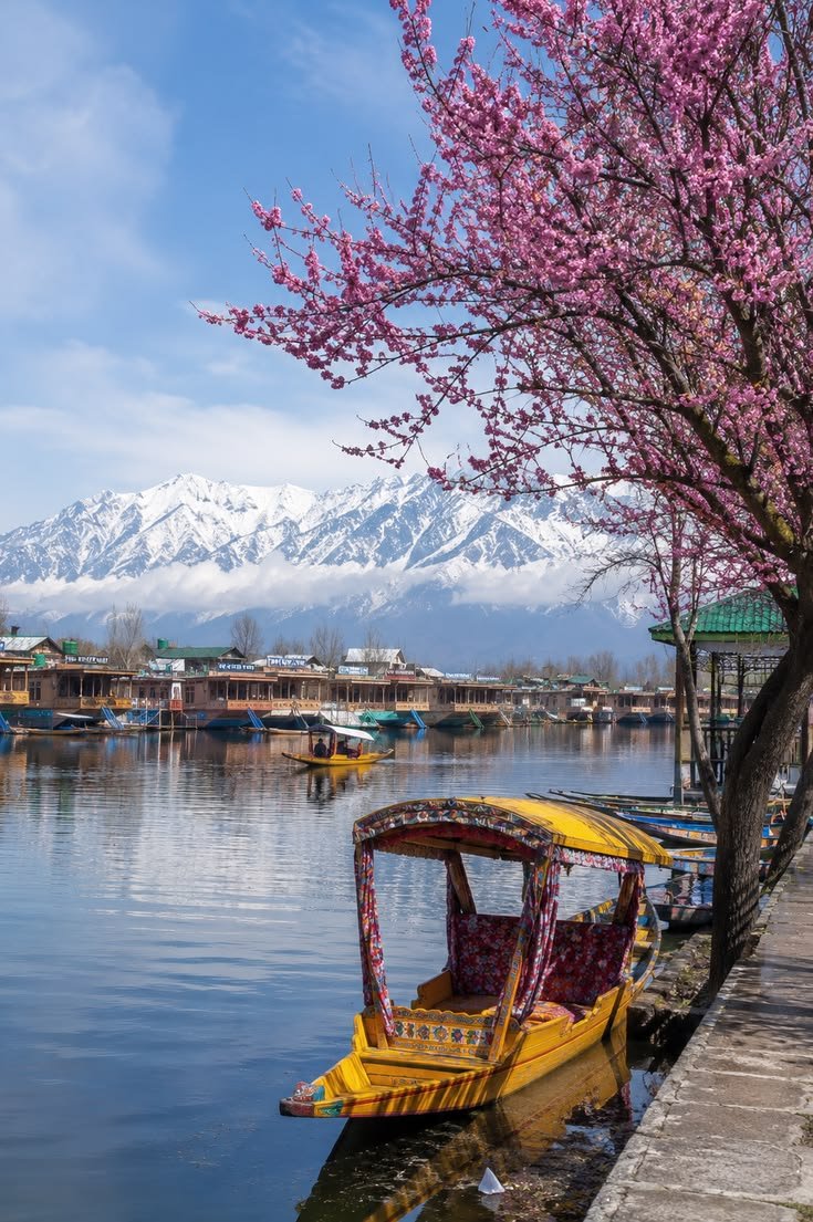 Kashmir Lakes and Pines
